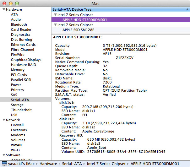 SATA Drive Info 1