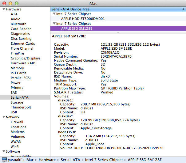 SATA Drive Info 2