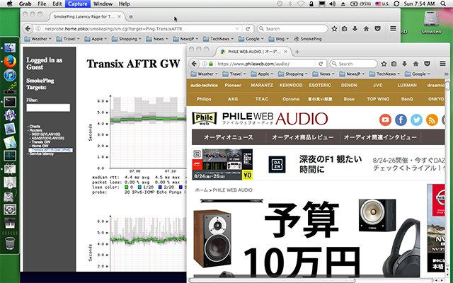 External Web Access Test