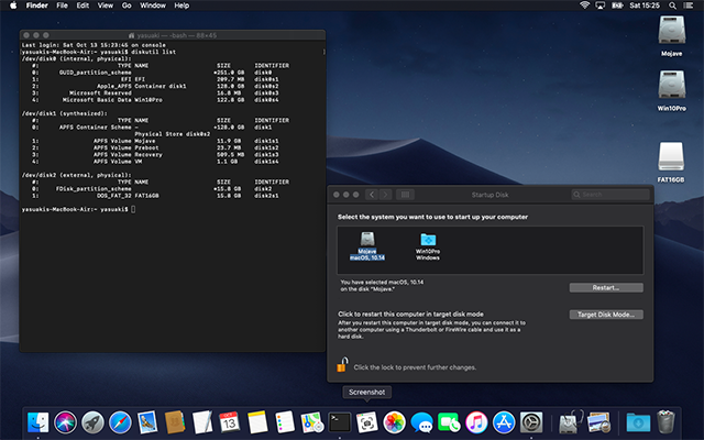 Mojave with UEFI Windows