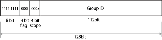 IPv6 Multicast Address