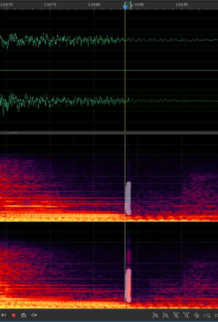 De-noise Retouching