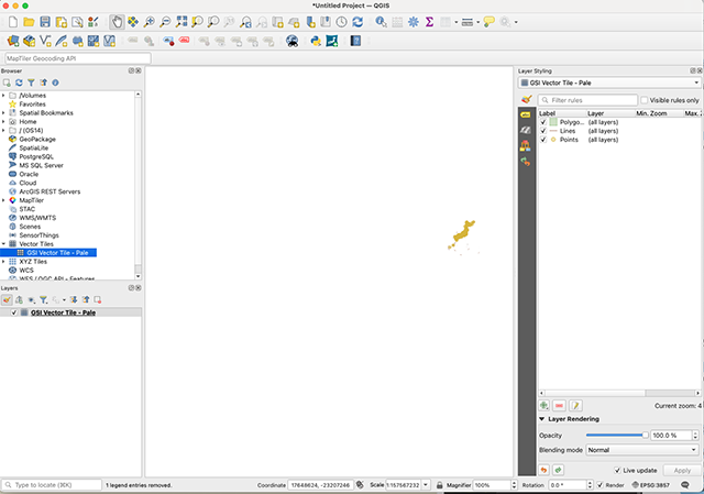 Vector Tile Map Initial View